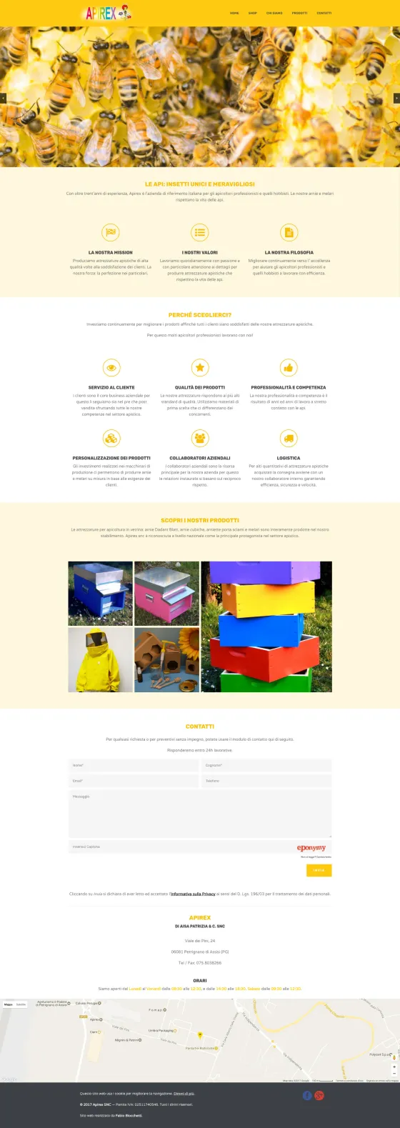 Screenshot of the Apirex website