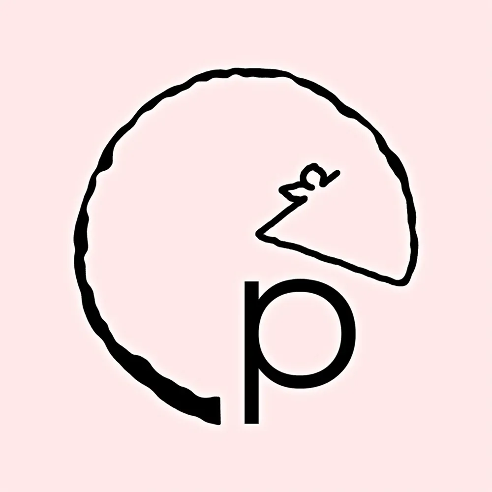 Screenshot of the Pitsart website