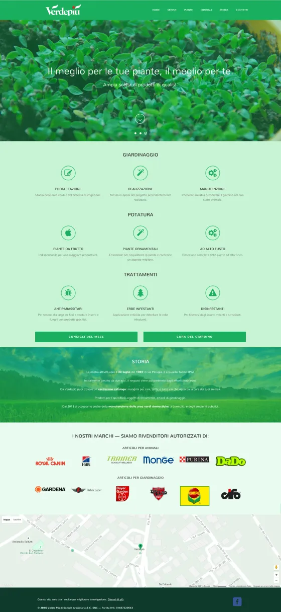 Screenshot of the Verdepiù website